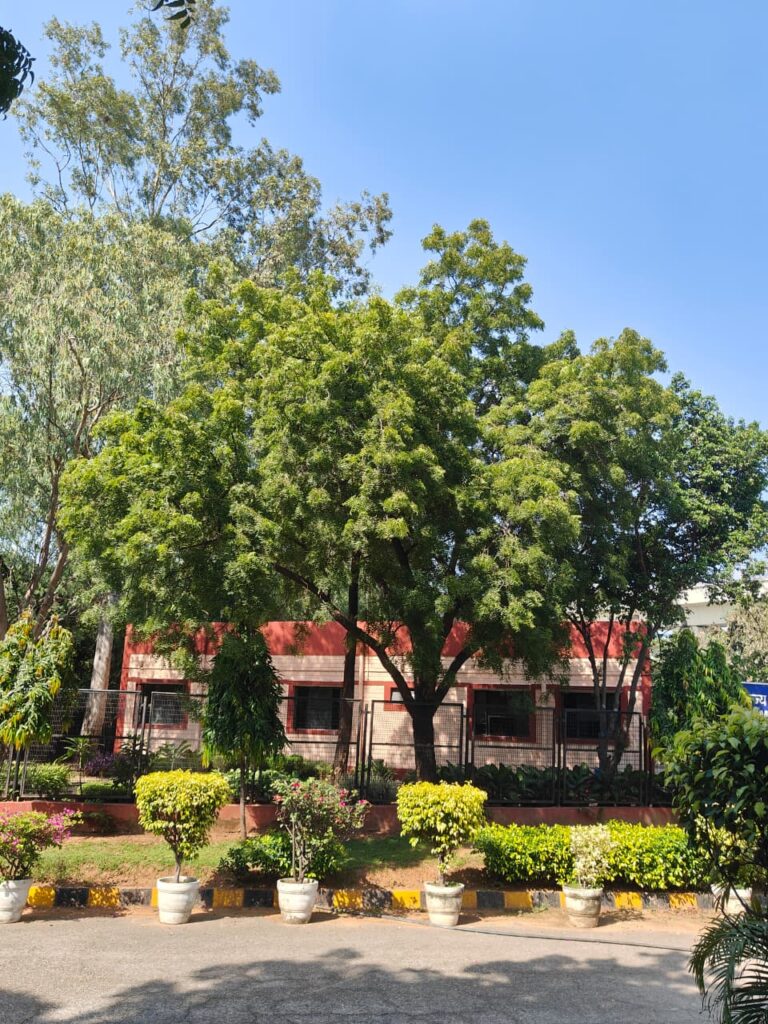 Environment protection